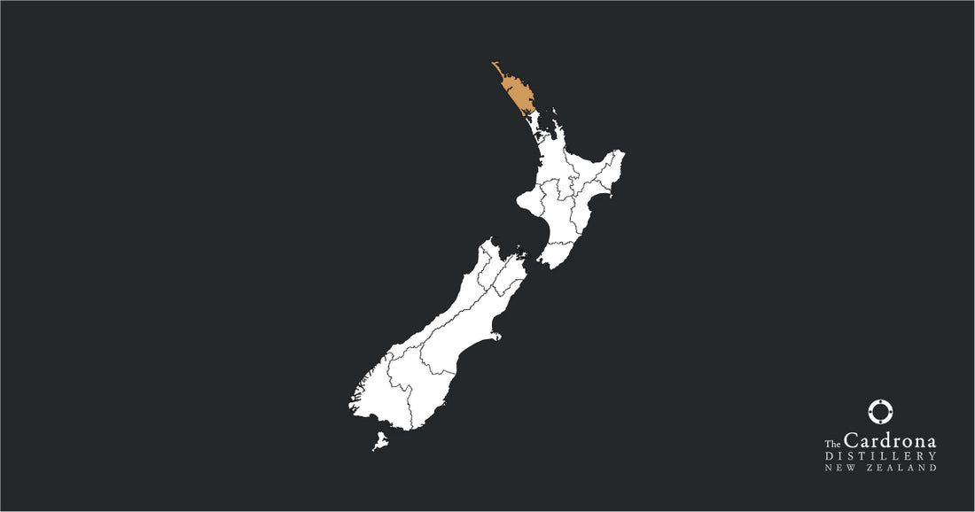 NZ-NTL