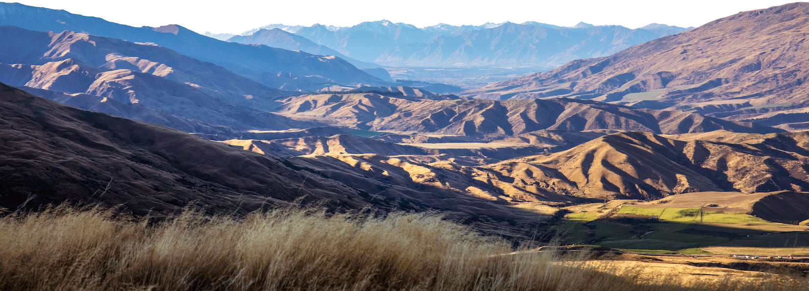 The Cardrona