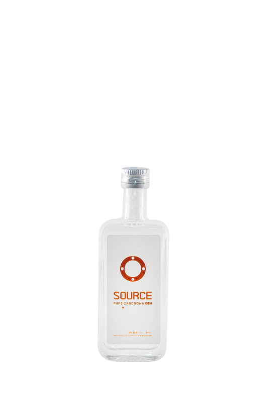 The Source gin - mini - UK